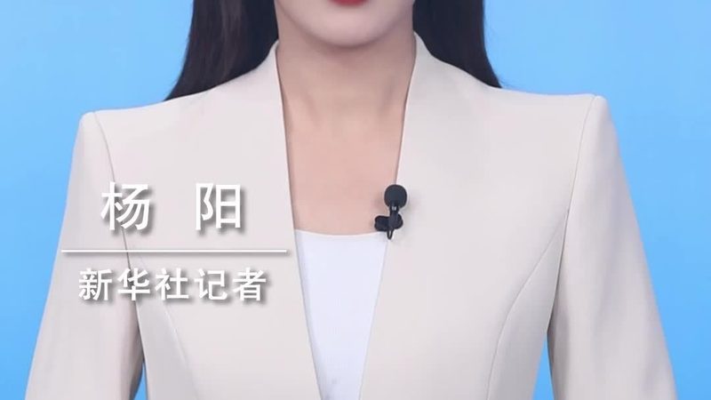 企业数据中台：构建高效数据架构的关键步骤